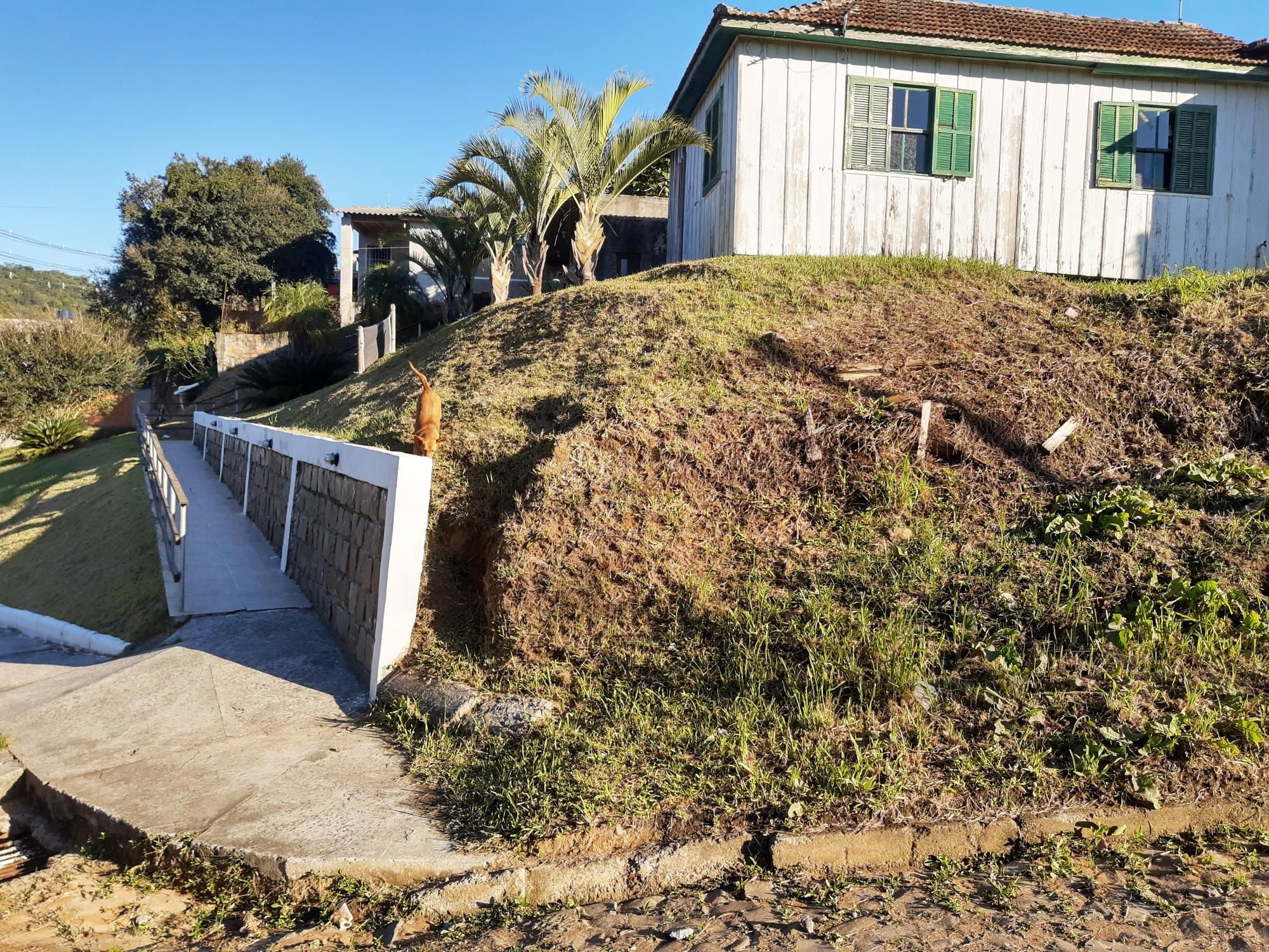 Terreno à venda, 440m² - Foto 3