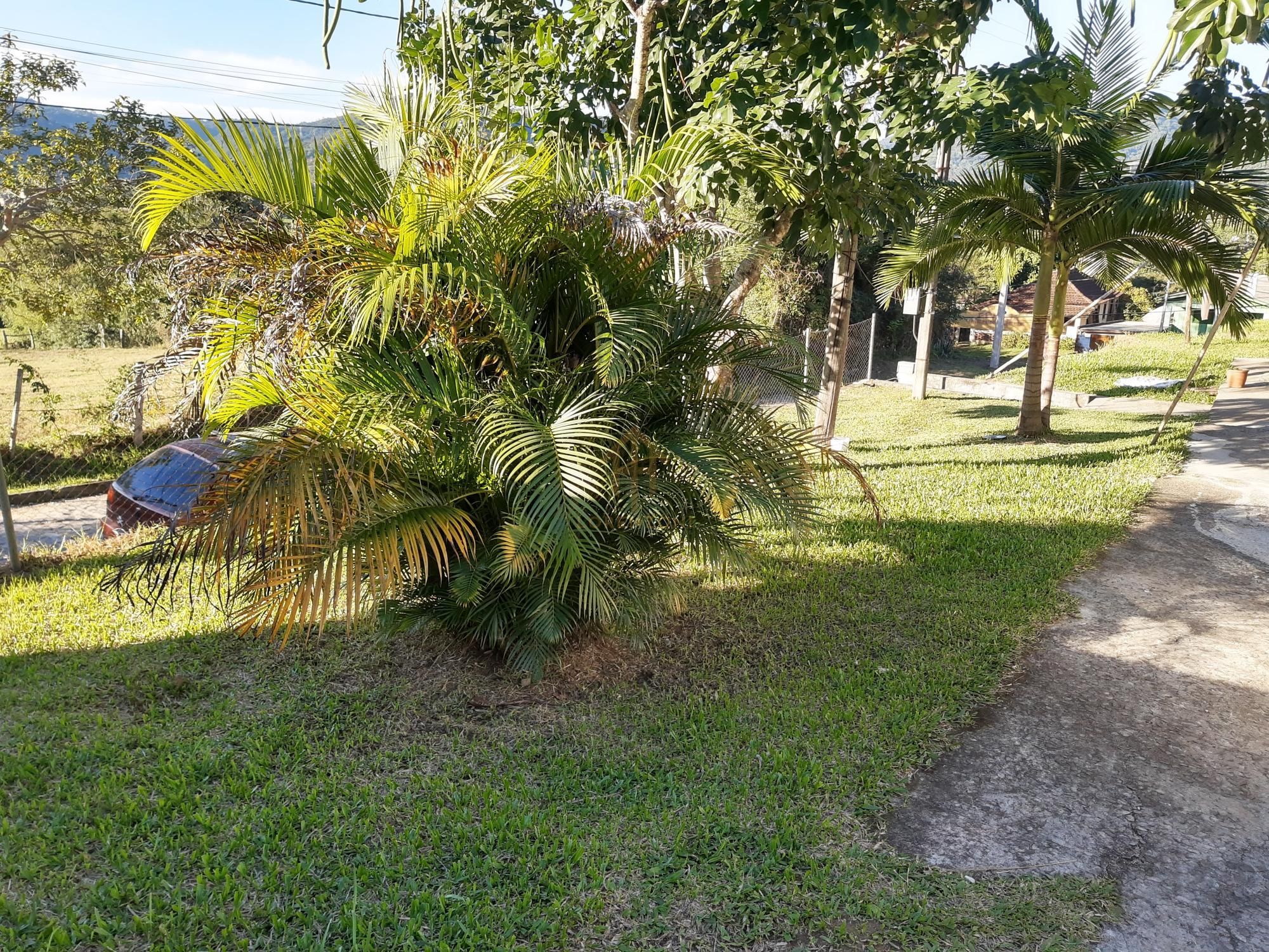 Terreno, 440 m² - Foto 1