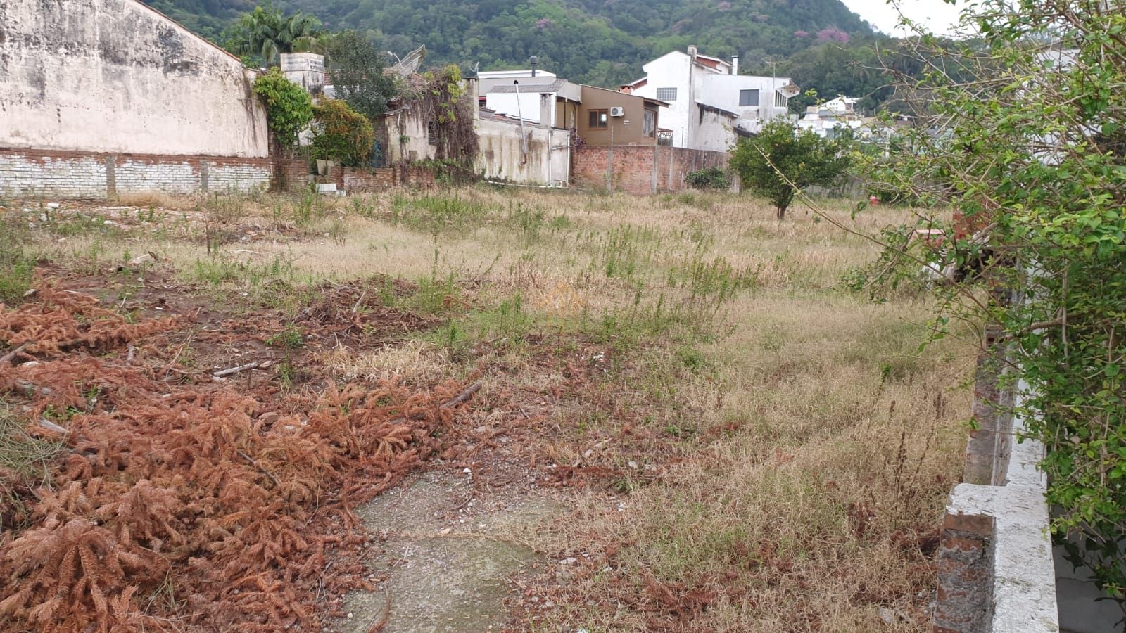 Terreno à venda, 1245m² - Foto 6