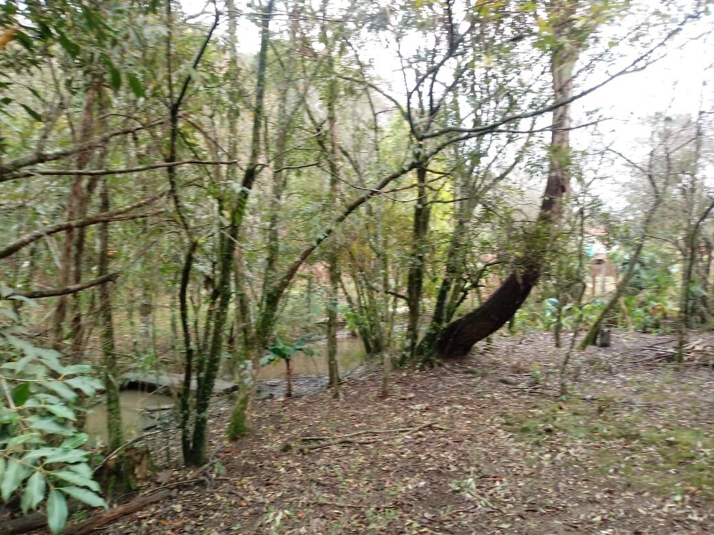 Terreno, 5000 m² - Foto 7