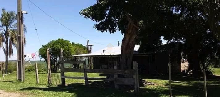 Fazenda à venda com 3 quartos, 100000m² - Foto 1