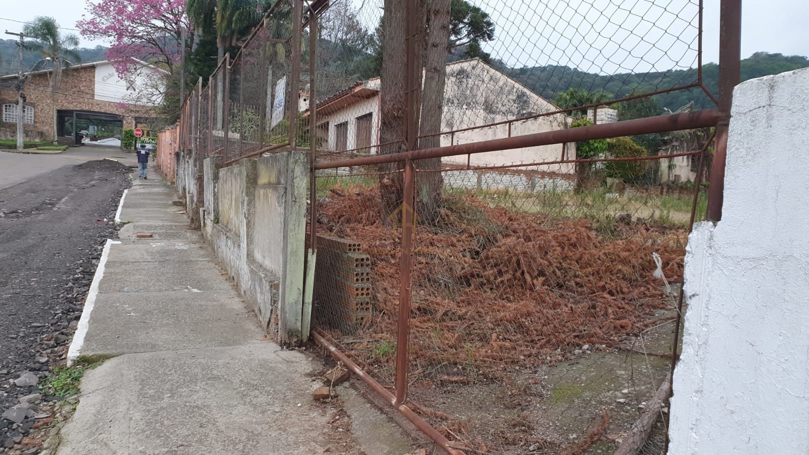 Terreno, 1245 m² - Foto 2