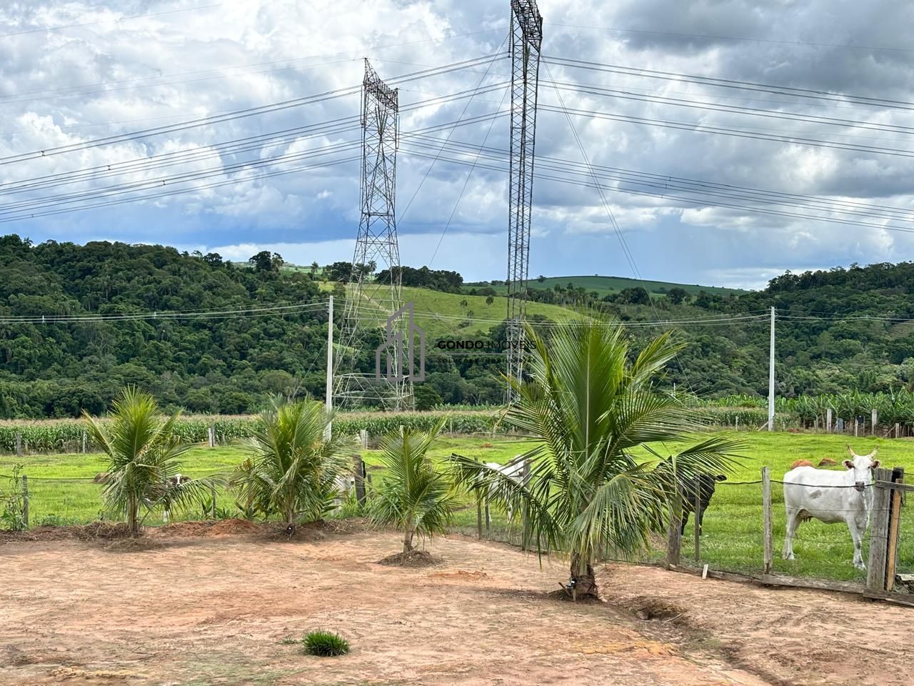 Fazenda, 18 hectares - Foto 48