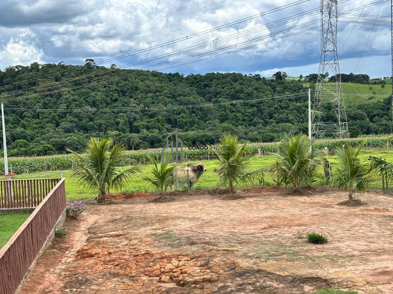 Fazenda, 18 hectares - Foto 49