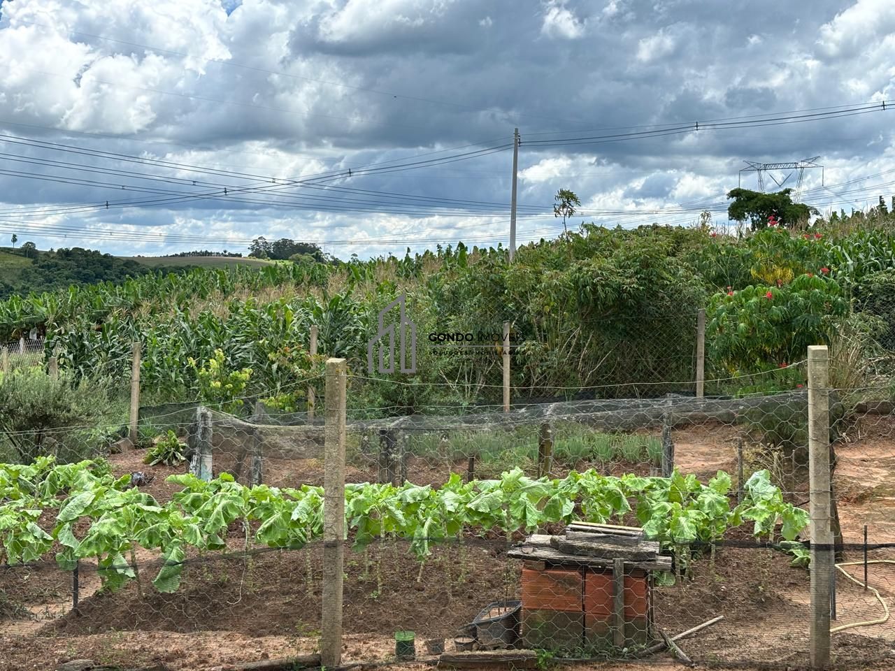 Fazenda, 18 hectares - Foto 50