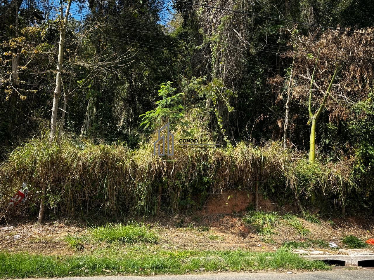 Terreno, 1000 m² - Foto 2