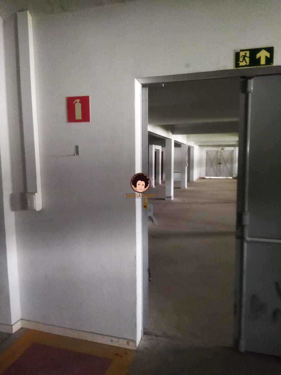 Depósito-Galpão, 1950 m² - Foto 6