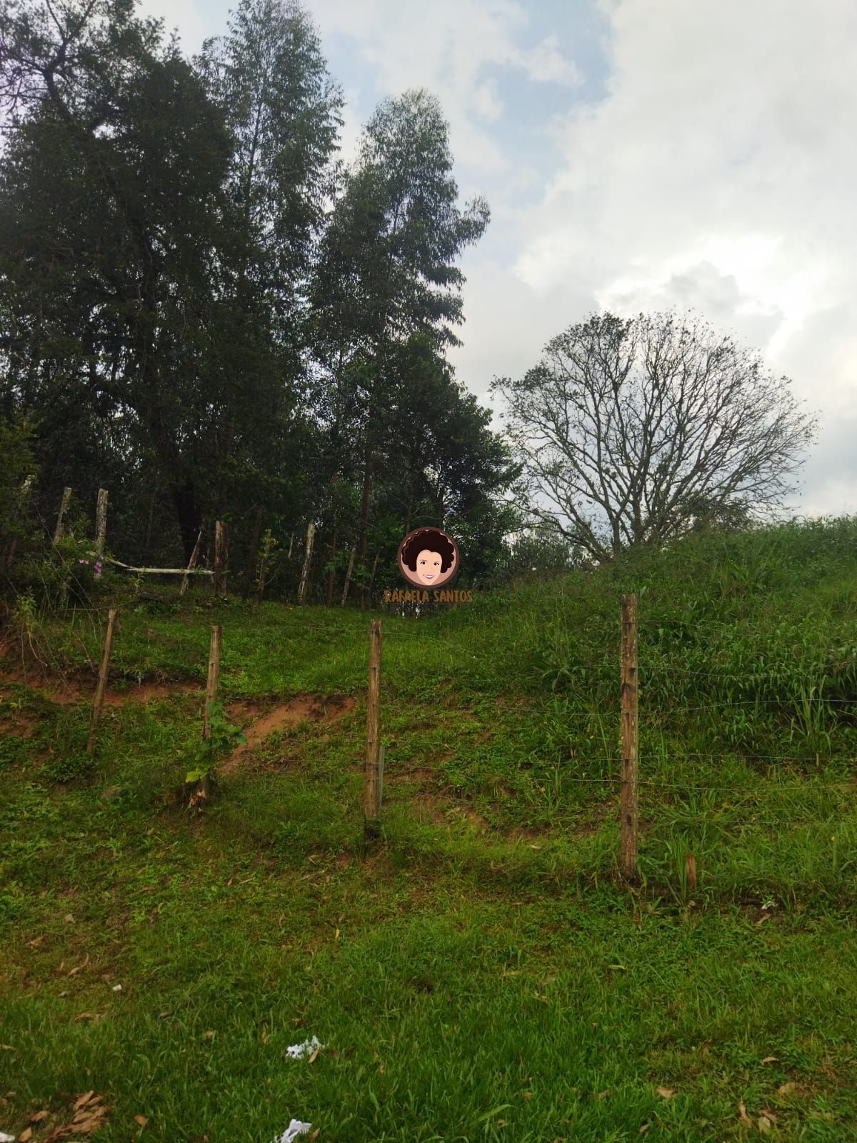 Terreno, 30000 m² - Foto 2