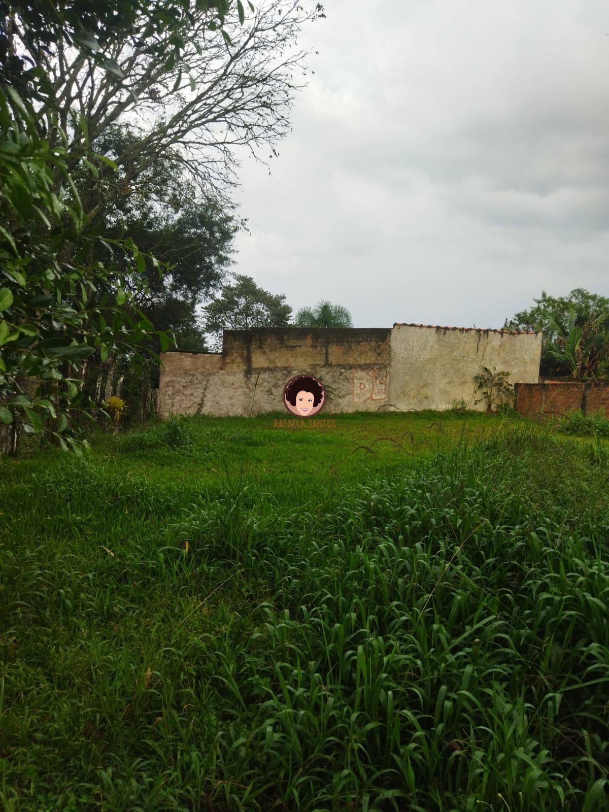 Terreno, 30000 m² - Foto 4