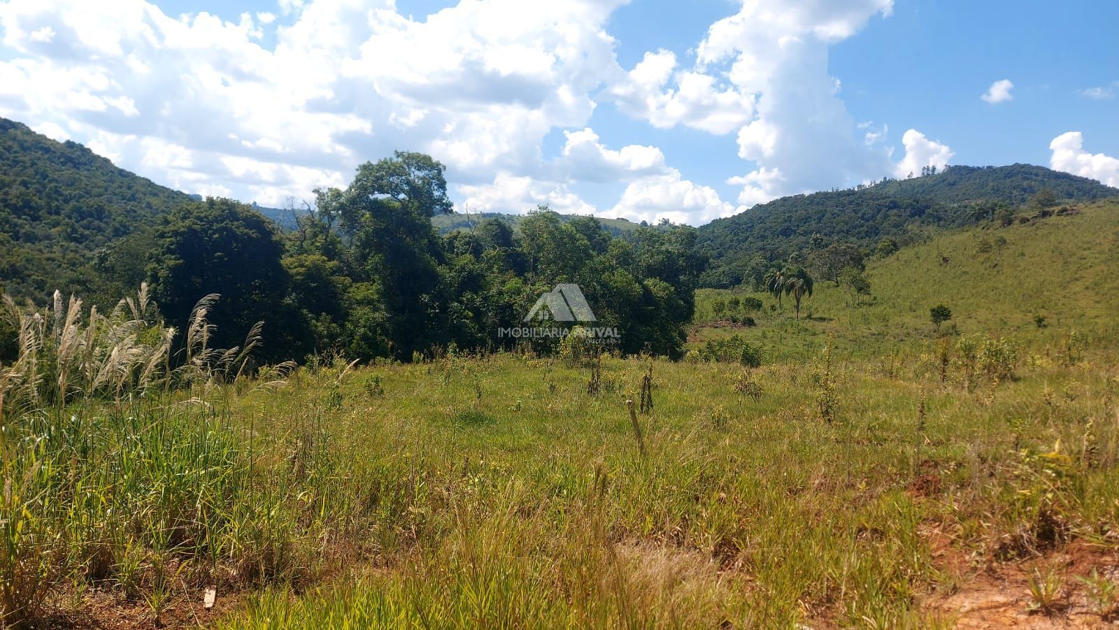 Chácara, 2 hectares - Foto 7