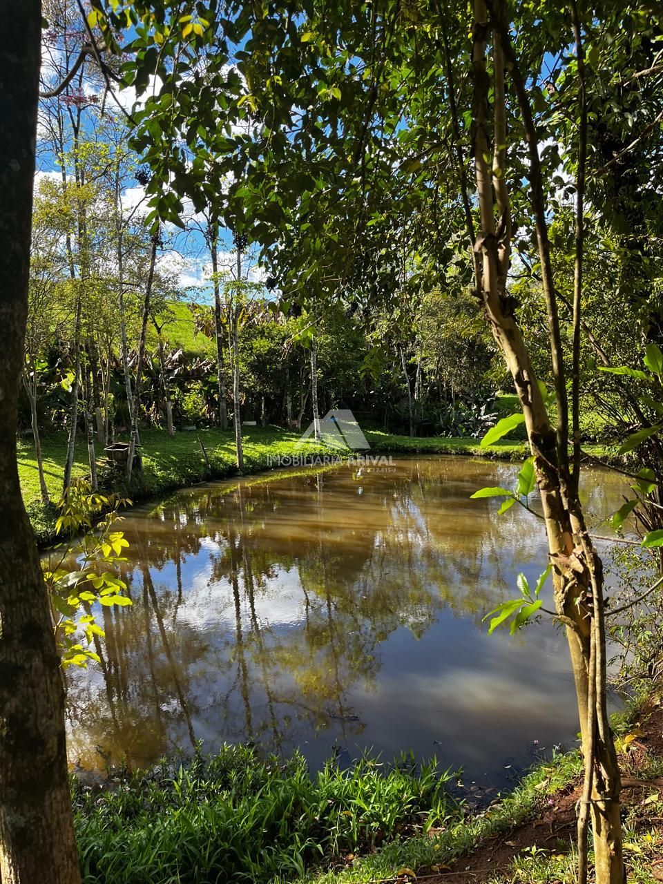 Chácara, 7 hectares - Foto 3