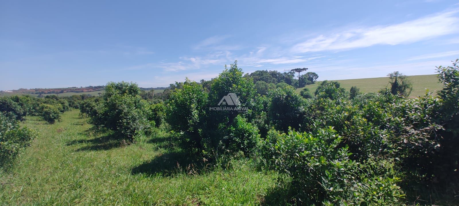 Lote/Terreno Comercial de 90000m² no bairro Zona Rural, em Xanxerê | Eu Corretor