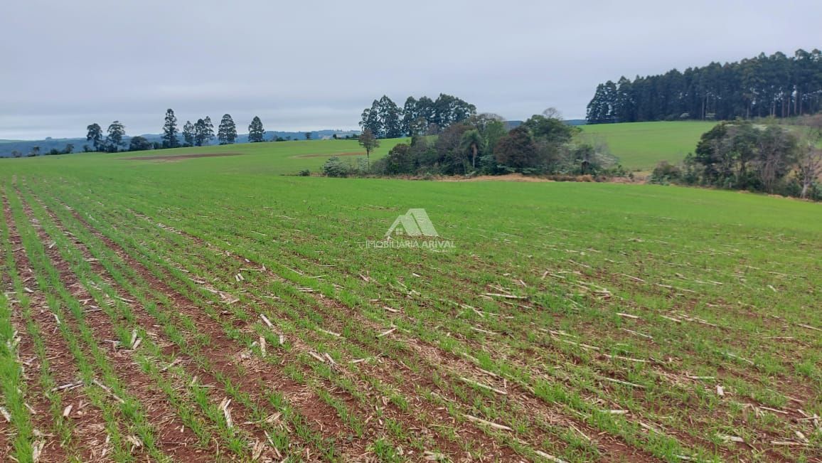 Lote/Terreno Comercial de 338000m² no bairro Centro (Marechal Bormann), em Chapecó | Eu Corretor