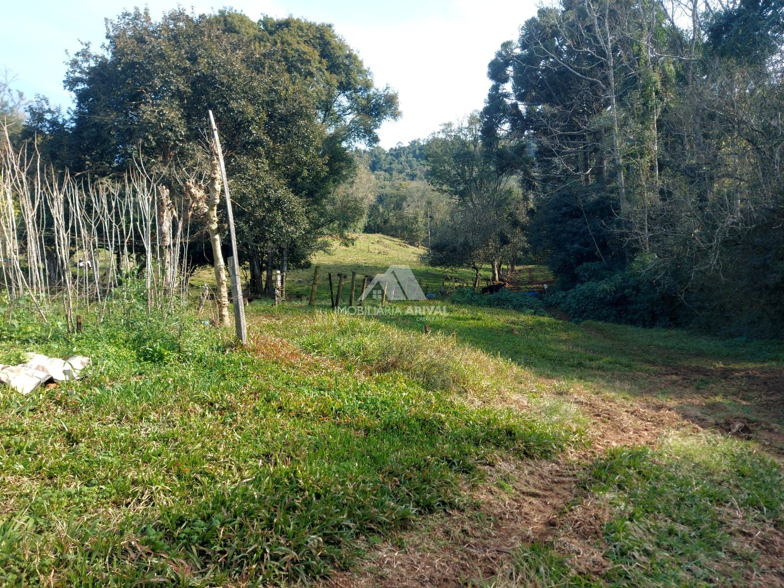 Lote/Terreno Comercial de 242000m² no bairro Área Rural de Chapecó, em Chapecó | Eu Corretor