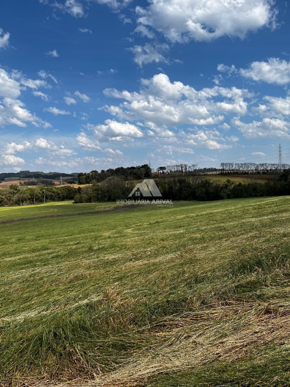 Chácara, 8 hectares - Foto 4