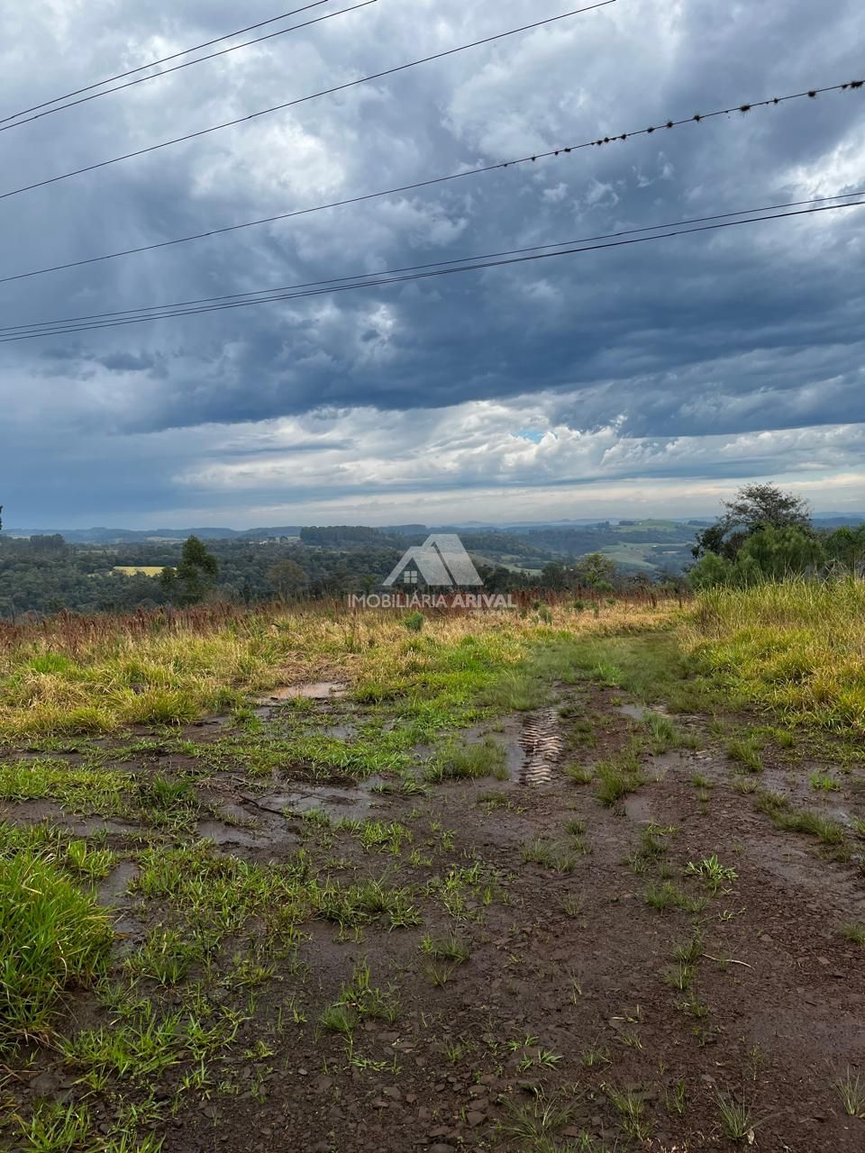 Chácara, 4 hectares - Foto 4
