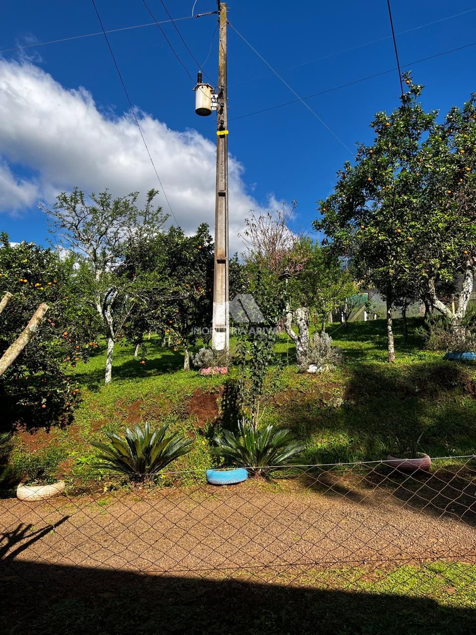 Chácara, 7 hectares - Foto 9