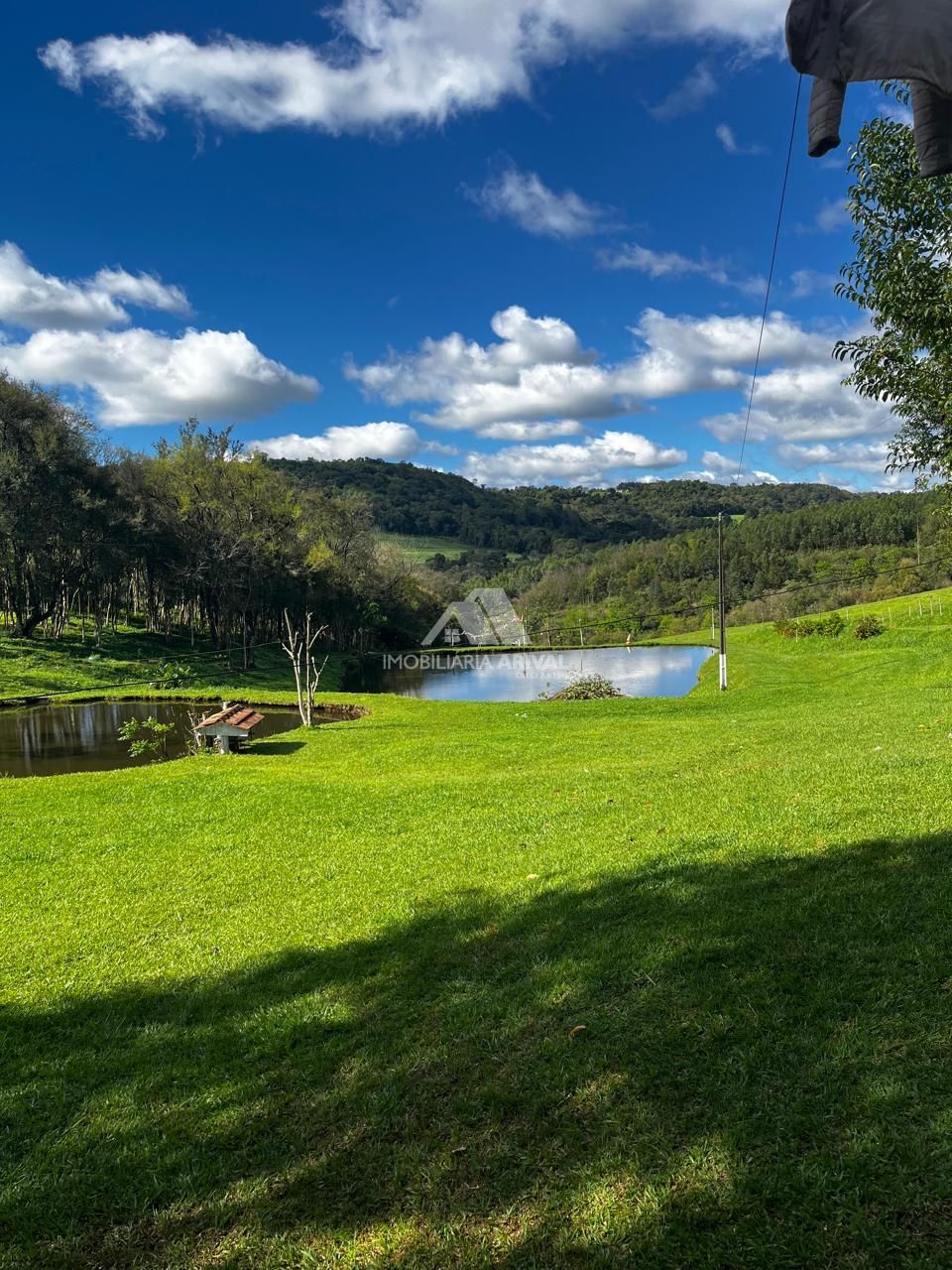 Chácara, 7 hectares - Foto 4