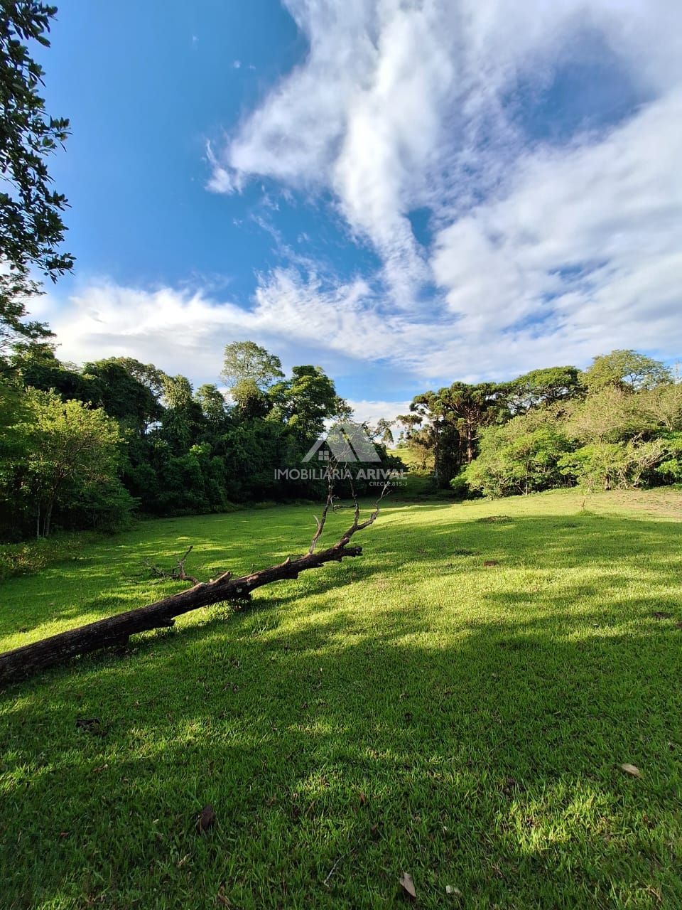 Lote/Terreno Comercial de 36300m² no bairro Zona Rural, em Águas de Chapecó | Eu Corretor