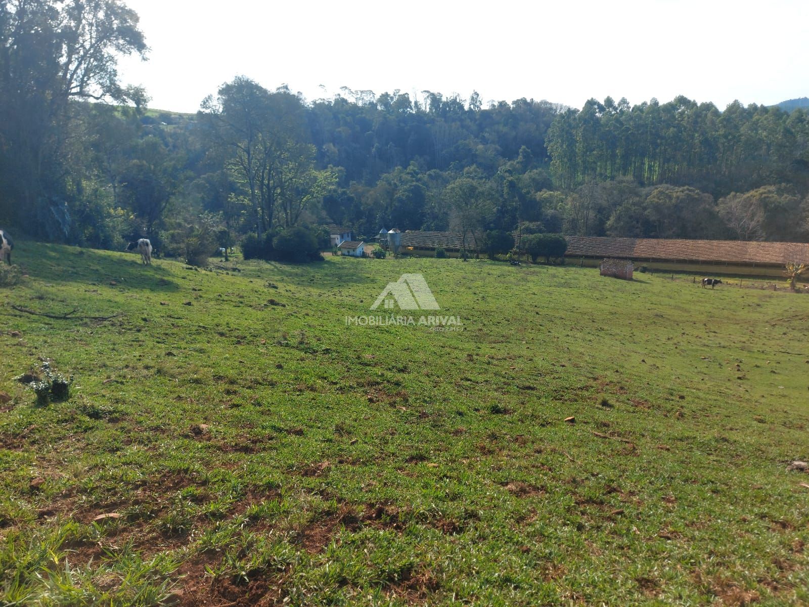 Lote/Terreno Comercial de 242000m² no bairro Área Rural de Chapecó, em Chapecó | Eu Corretor