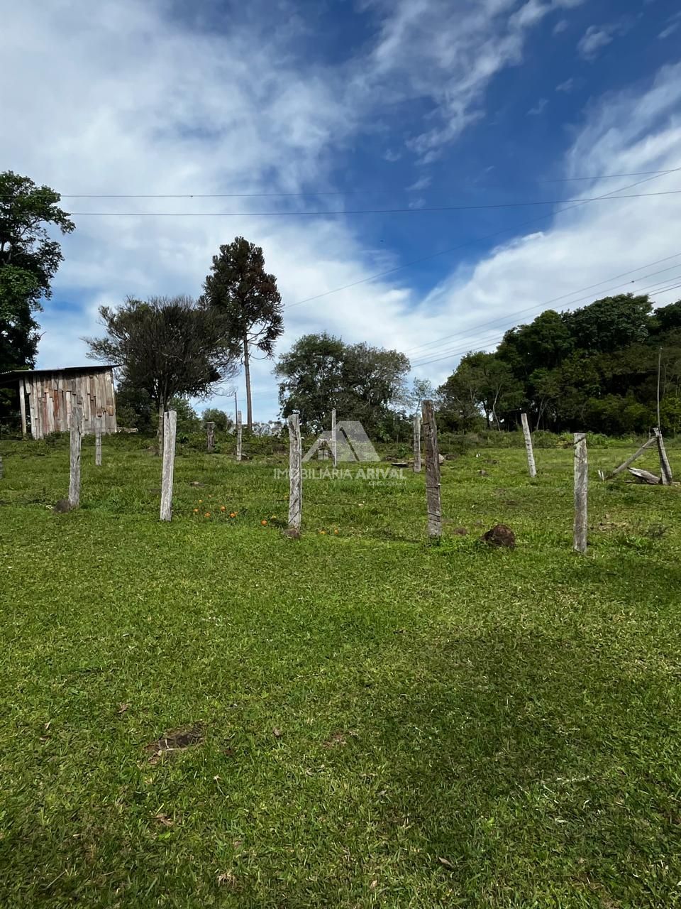 Chácara, 2 hectares - Foto 3