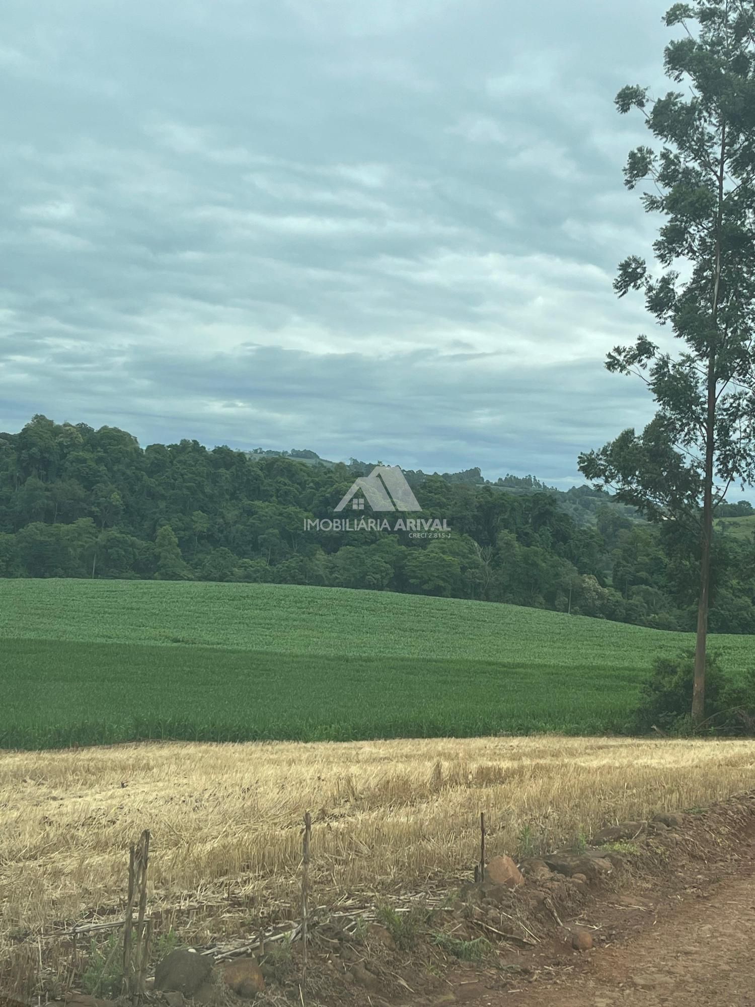 Chácara, 54 m² - Foto 13