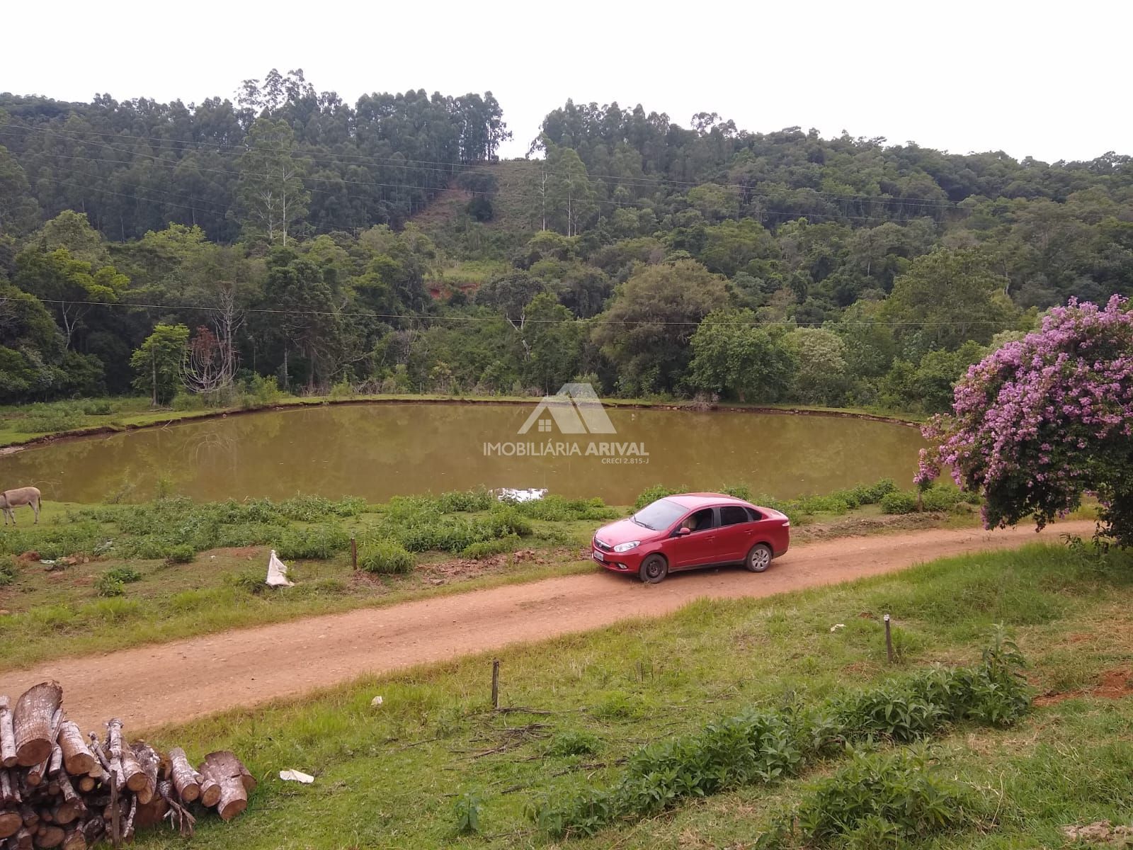 Lote/Terreno Comercial de 400000m² no bairro Zona Rural, em Paial | Eu Corretor