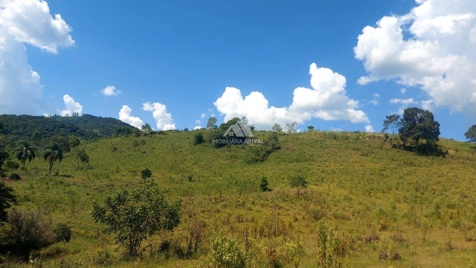 Chácara, 2 hectares - Foto 5