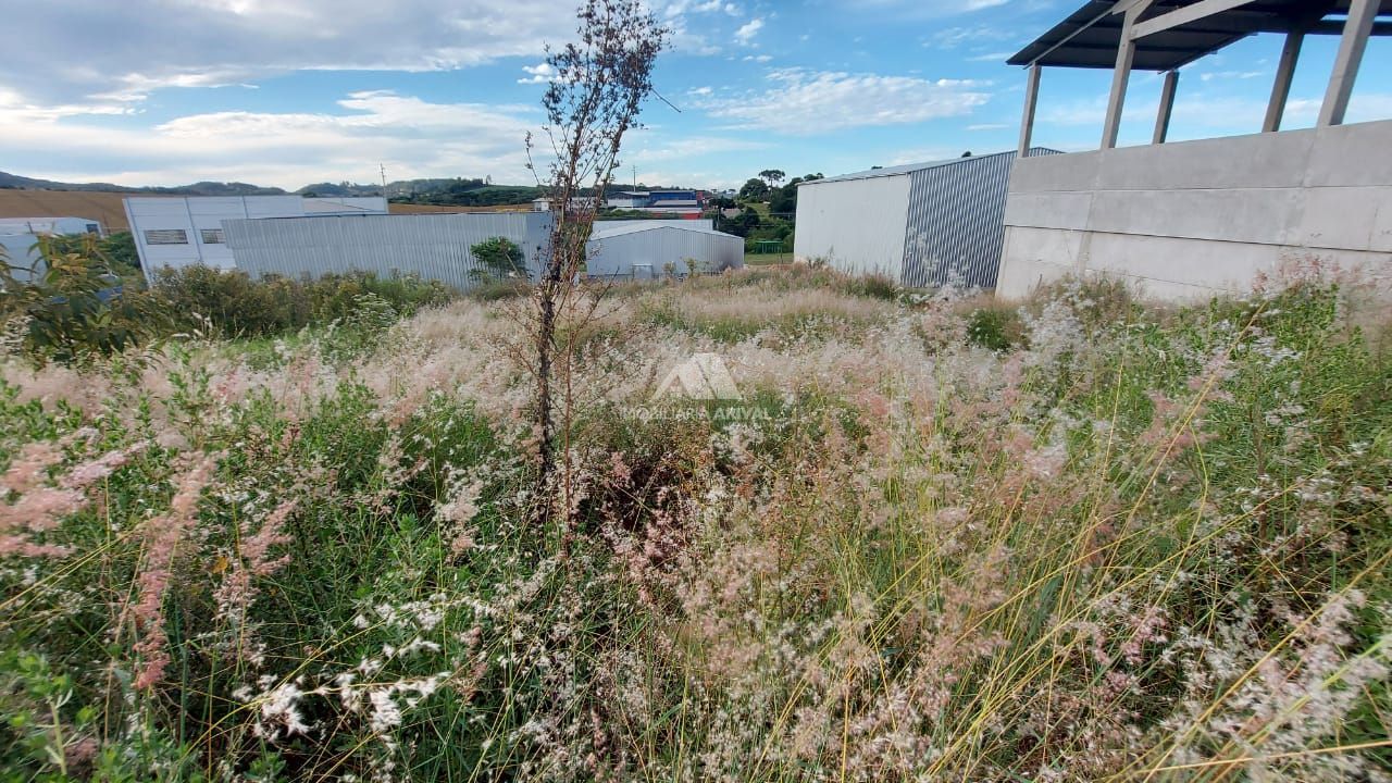 Lote/Terreno de 800m² no bairro Lajeado, em Chapecó | Eu Corretor