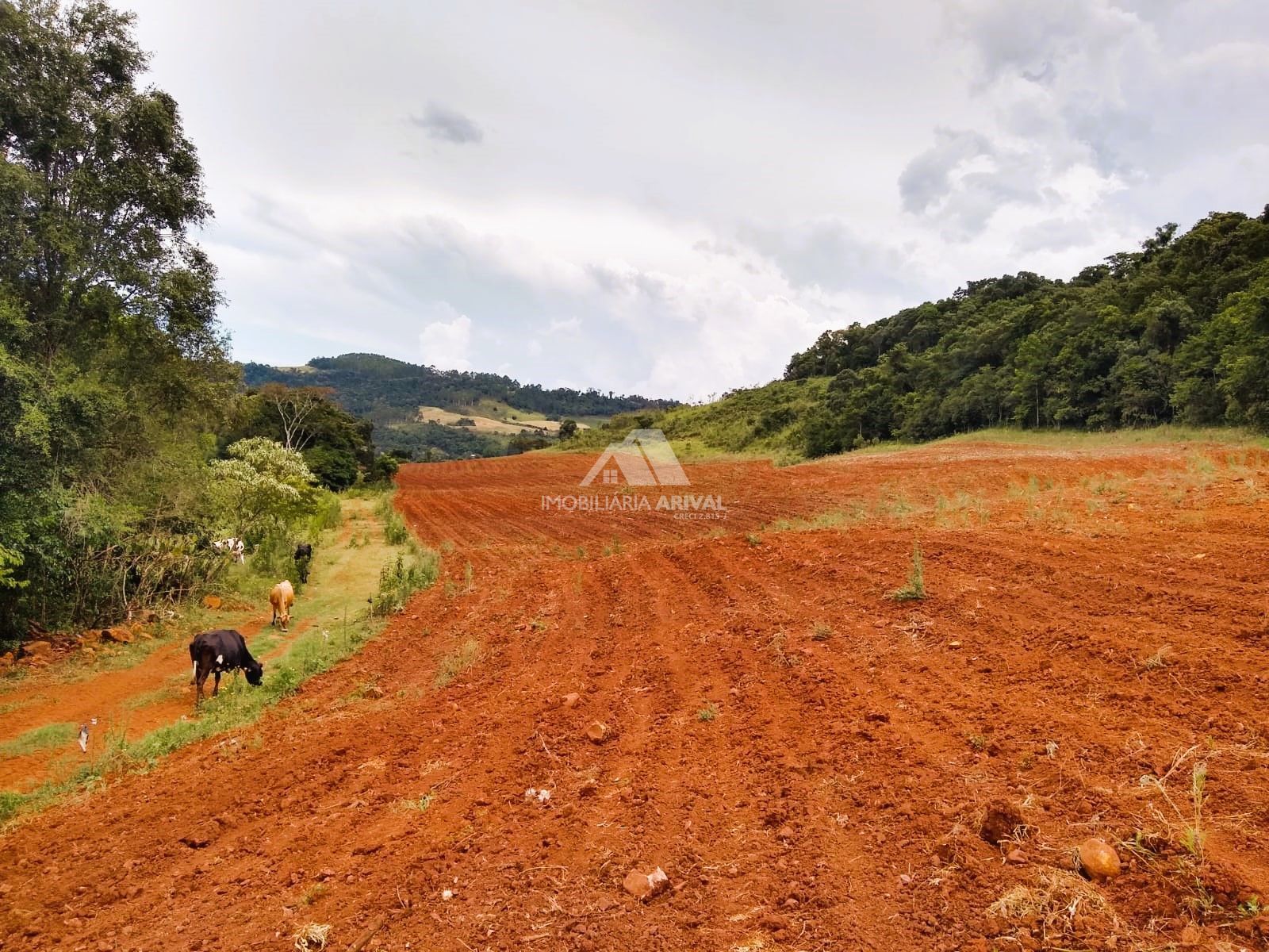 Lote/Terreno Comercial de 400000m² no bairro Zona Rural, em Paial | Eu Corretor