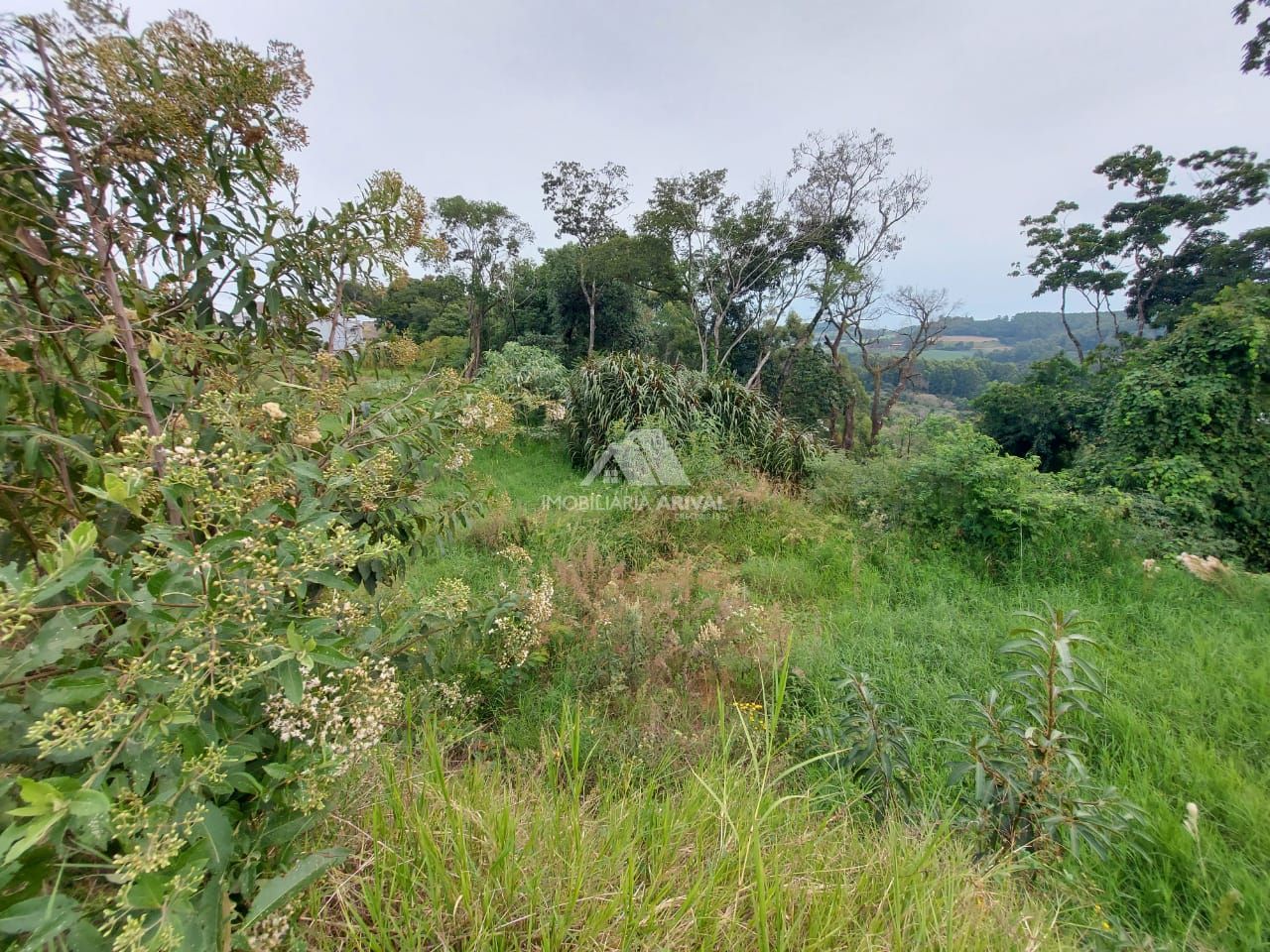 Lote/Terreno de 273m² no bairro Centro, em Cordilheira Alta | Eu Corretor
