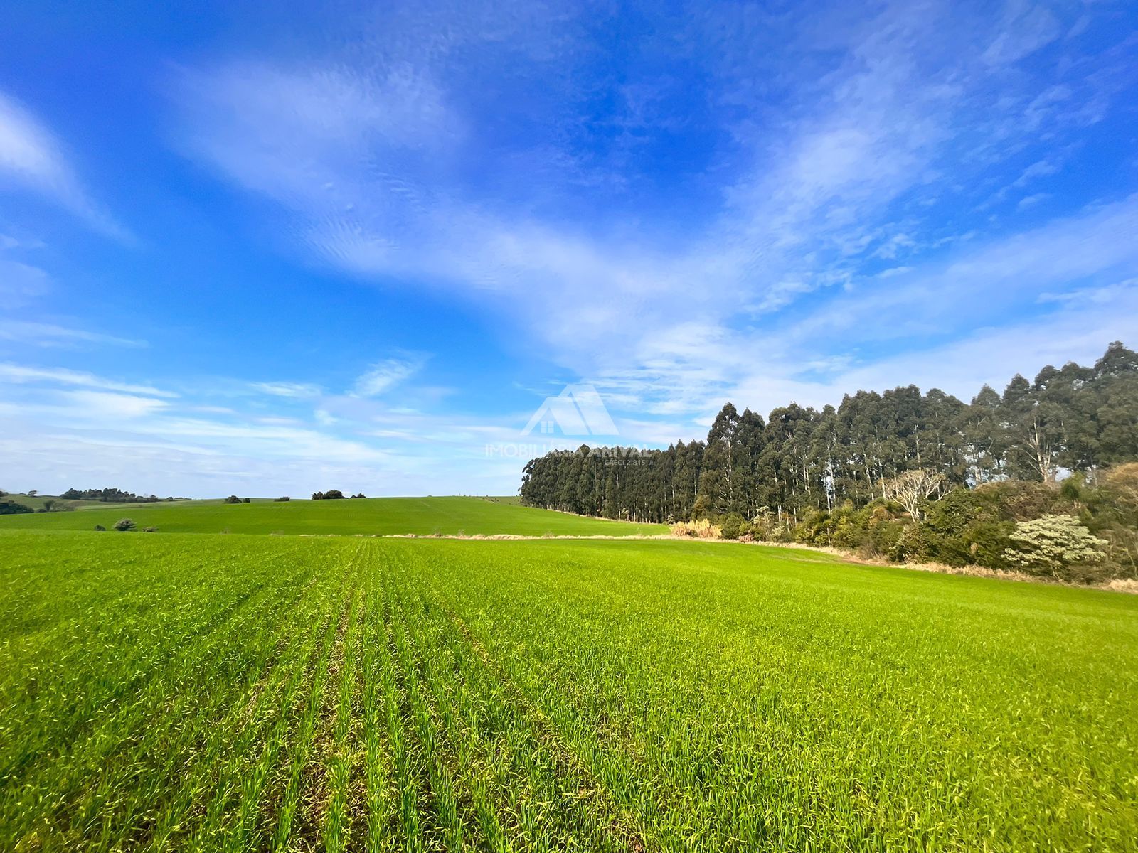 Lote/Terreno Comercial de 720000m² no bairro Zona Rural, em Faxinalzinho | Eu Corretor