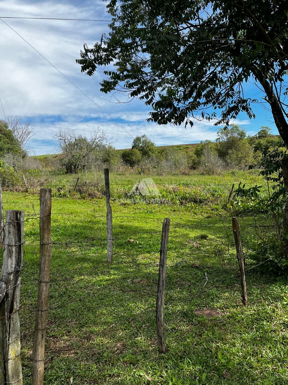 Chácara, 2 hectares - Foto 8