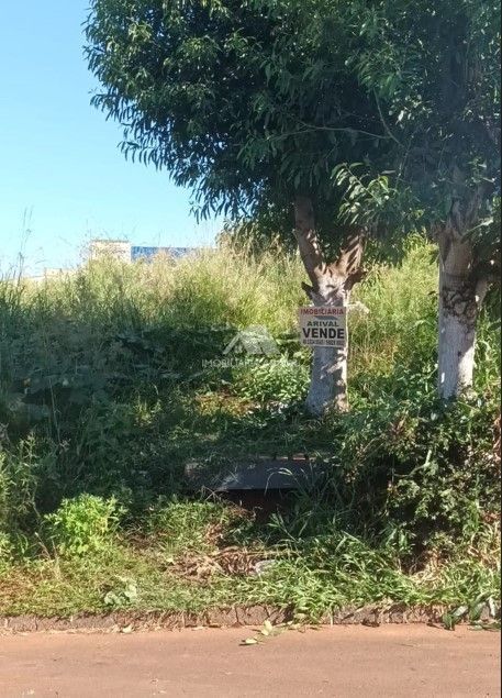 Terreno, 840 m² - Foto 3