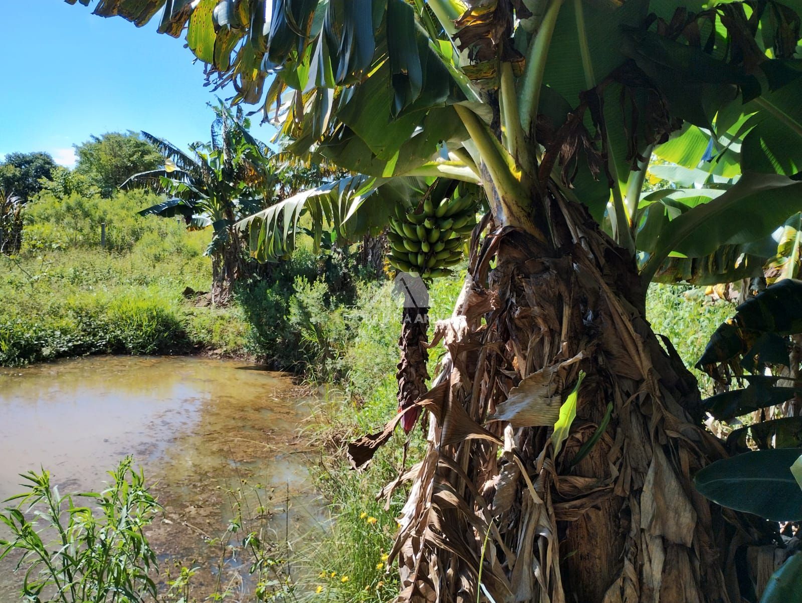 Lote/Terreno Comercial de 95000m² no bairro Zona Rural, em Seara | Eu Corretor