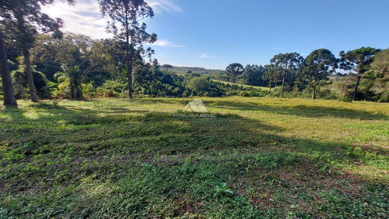 Lote/Terreno Comercial de 42800m² no bairro Centro,(Marechal Bormann), em Chapecó | Eu Corretor