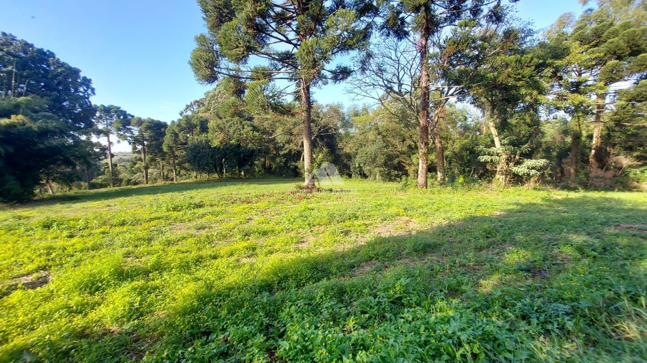 Lote/Terreno Comercial de 42800m² no bairro Centro (Marechal Bormann), em Chapecó | Eu Corretor