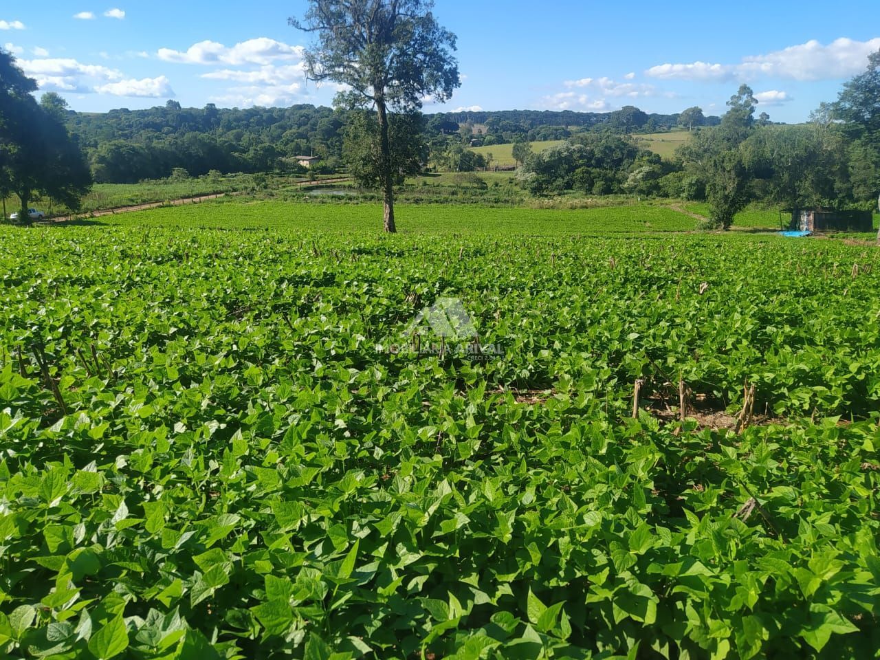 Lote/Terreno Comercial de 40886m² no bairro Centro (Marechal Bormann), em Chapecó | Eu Corretor