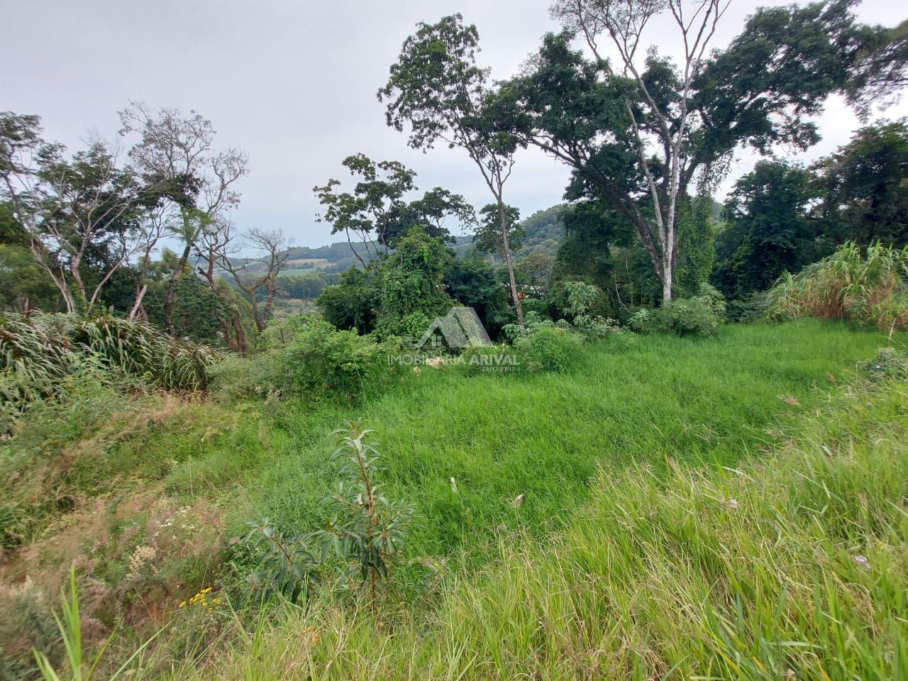Lote/Terreno de 273m² no bairro Centro, em Cordilheira Alta | Eu Corretor