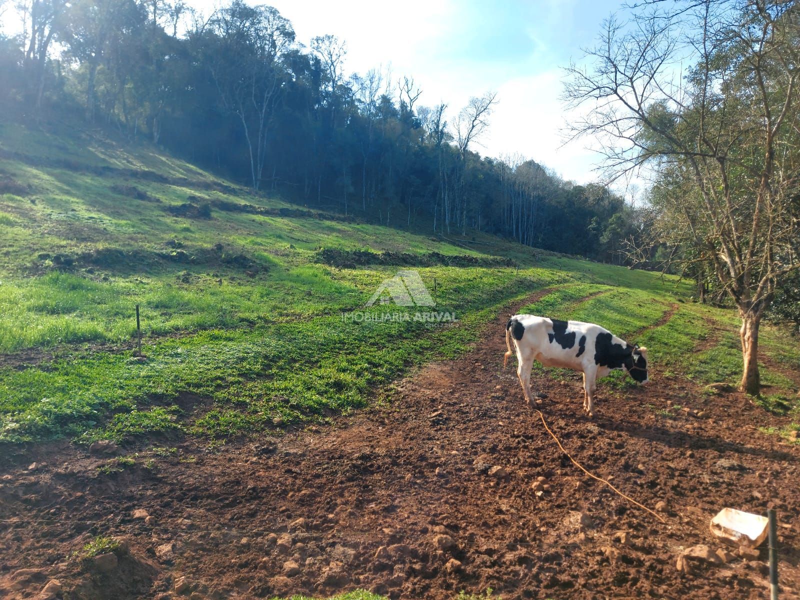 Lote/Terreno Comercial de 242000m² no bairro Área Rural de Chapecó, em Chapecó | Eu Corretor