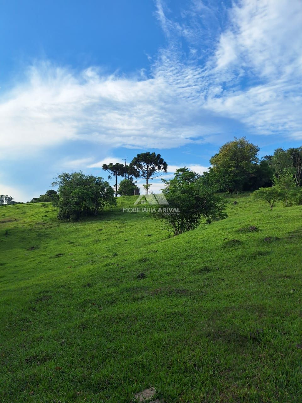 Lote/Terreno Comercial de 36300m² no bairro Zona Rural, em Águas de Chapecó | Eu Corretor