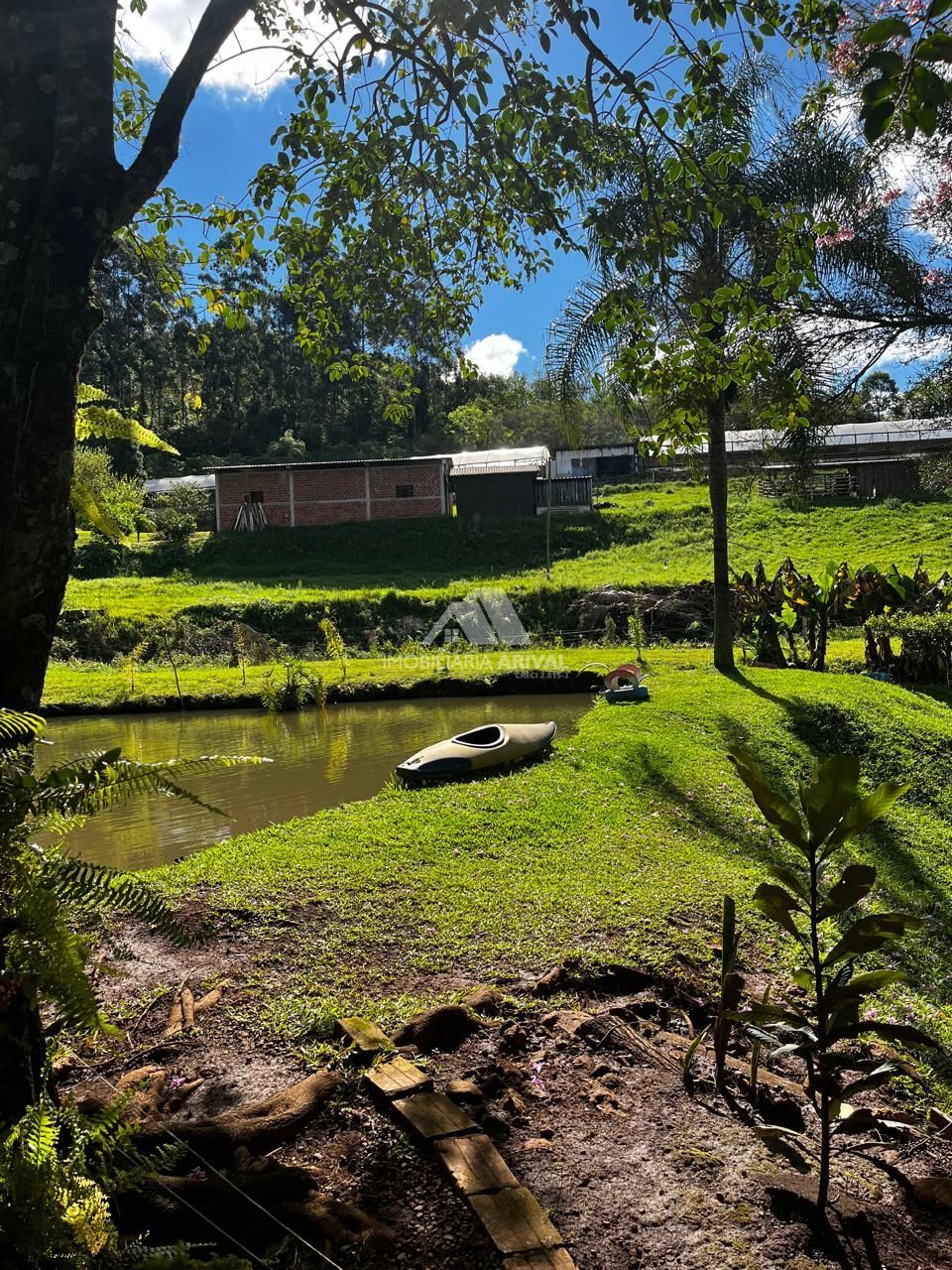 Chácara, 7 hectares - Foto 10