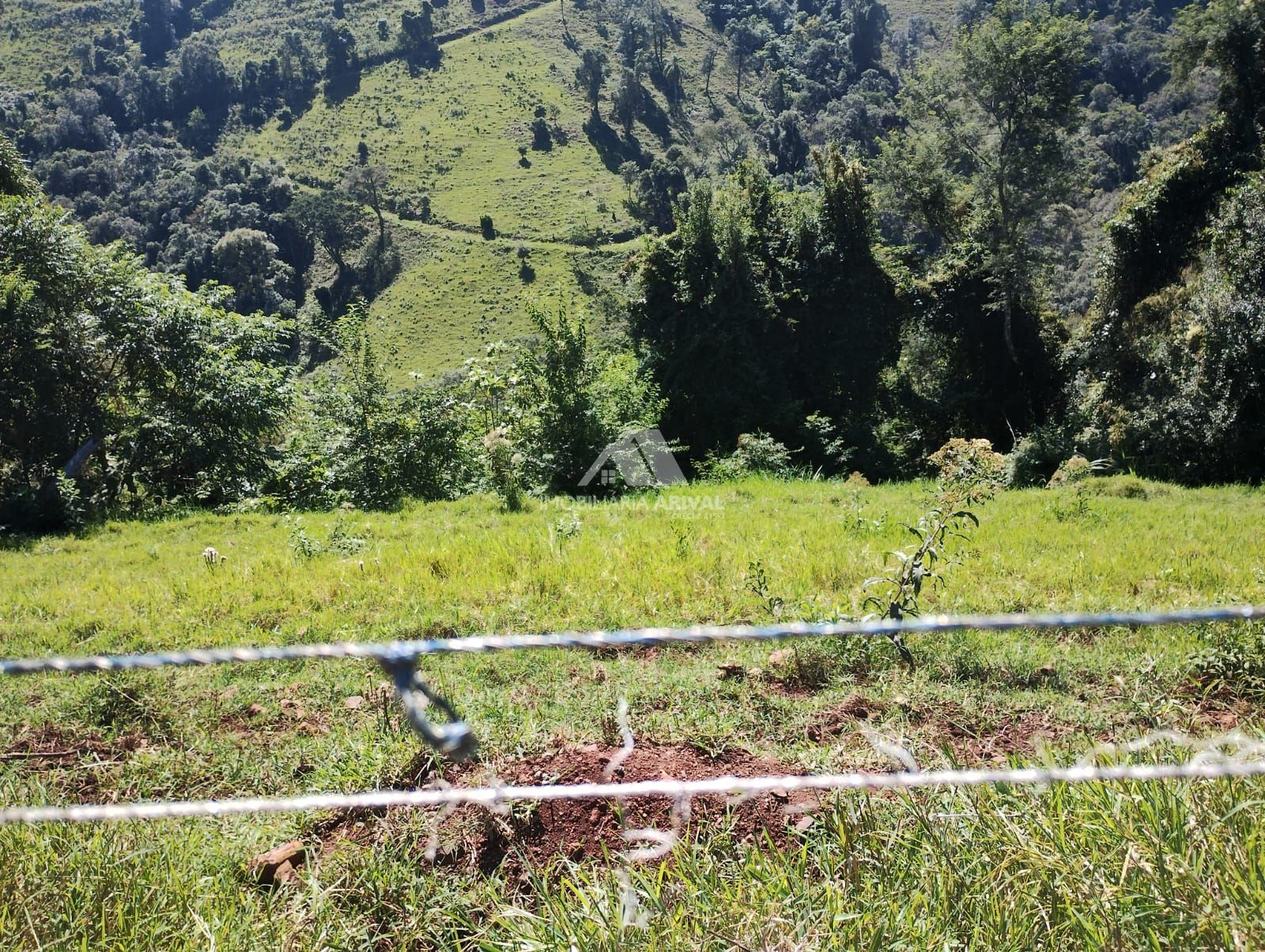 Lote/Terreno Comercial no bairro Centro, em Seara | Eu Corretor