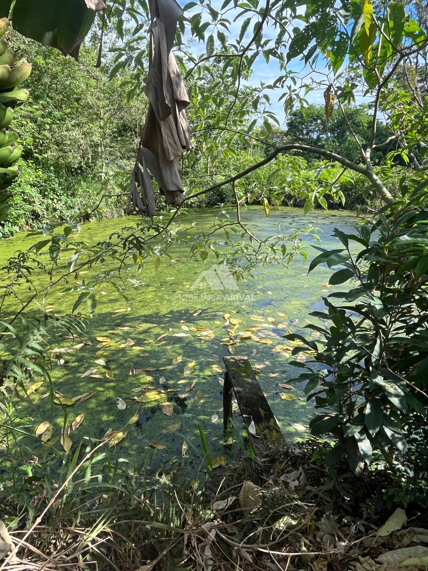 Sítio, 535 m² - Foto 6