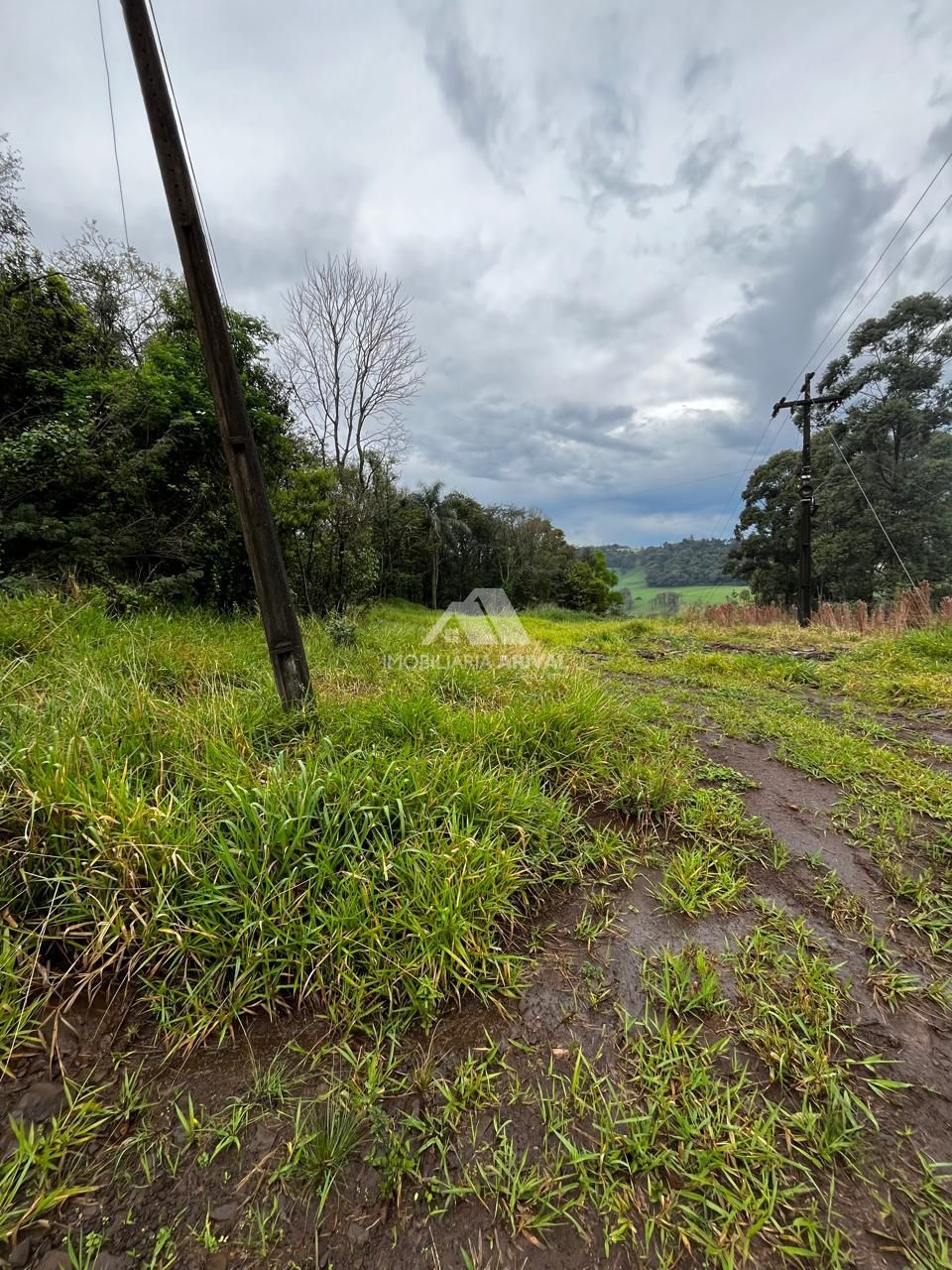 Chácara, 4 hectares - Foto 7