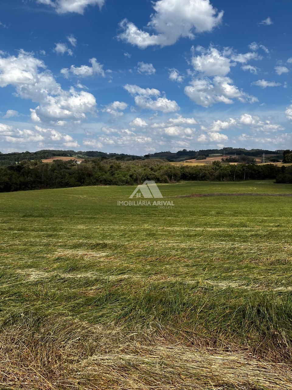 Chácara, 8 hectares - Foto 2