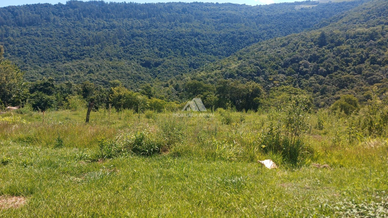 Chácara, 2 hectares - Foto 8