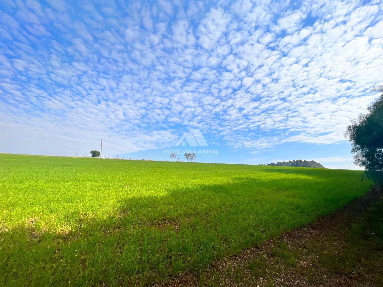 Lote/Terreno Comercial de 720000m² no bairro Zona Rural, em Faxinalzinho | Eu Corretor