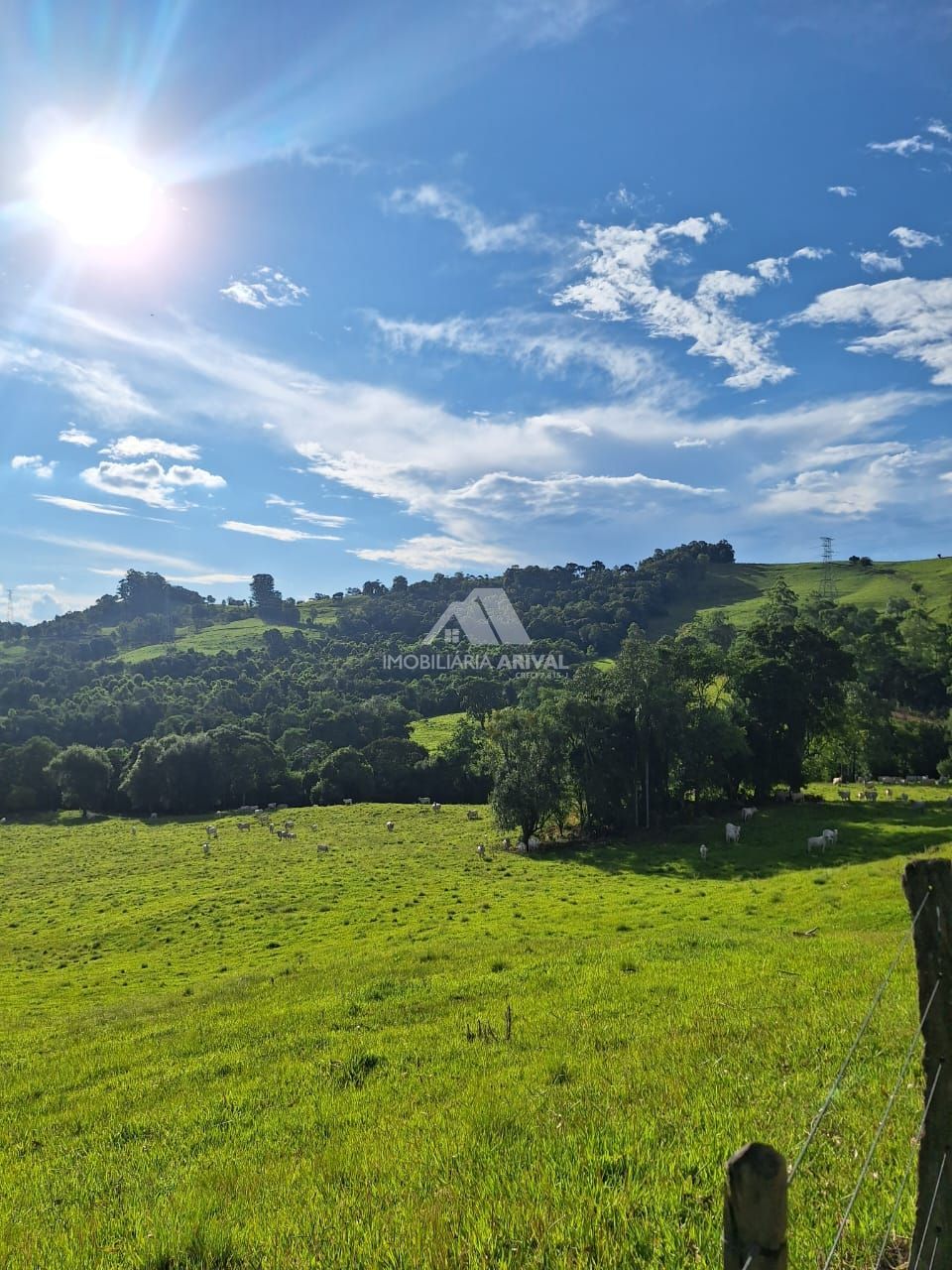 Lote/Terreno Comercial de 36300m² no bairro Zona Rural, em Águas de Chapecó | Eu Corretor