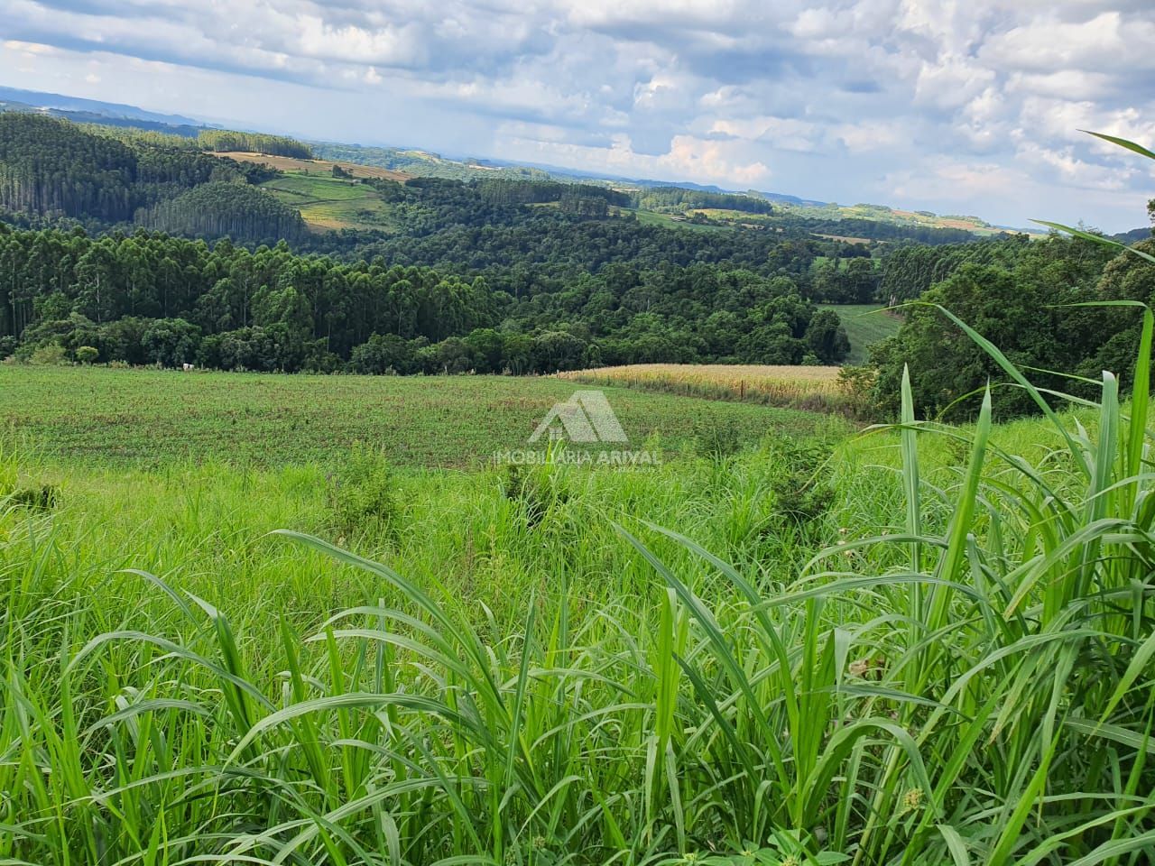 Lote/Terreno Comercial de 142400m² no bairro Área Rural de Chapecó, em Chapecó | Eu Corretor